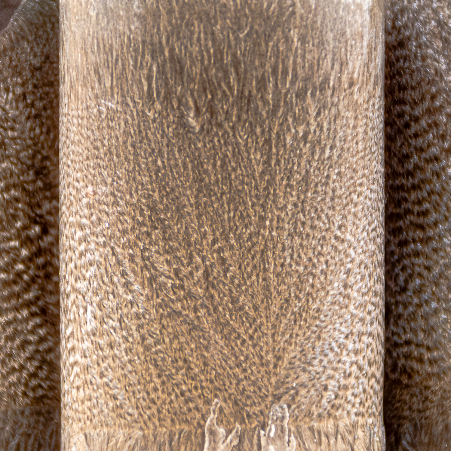 AVEROY Wachslicht-Manufaktur - Palmwachskerzen 3er Set „Der anthrazitene BEN“